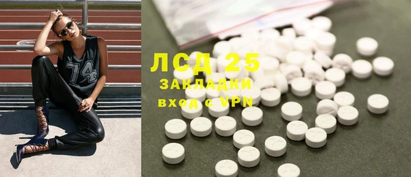 ГАЛЛЮЦИНОГЕННЫЕ ГРИБЫ Алексин
