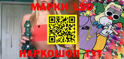 шишки Кимры