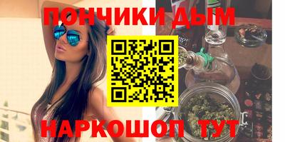 шишки Кимры