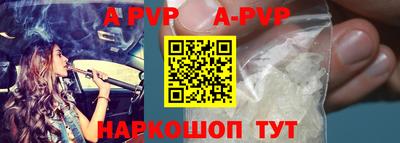 шишки Кимры