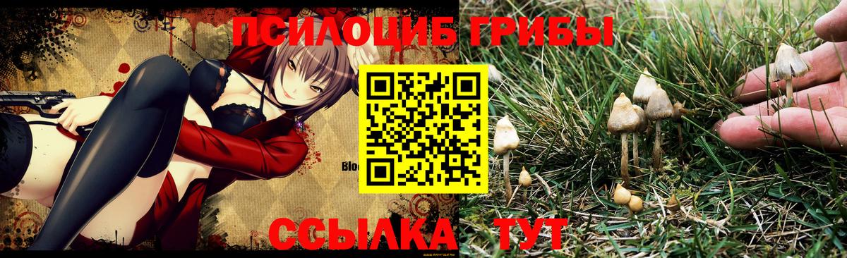 Галлюциногенные грибы MAGIC MUSHROOMS  Вход с VPN  цены наркотик  Псилоцибиновые грибы мицелий  Магнитогорск 