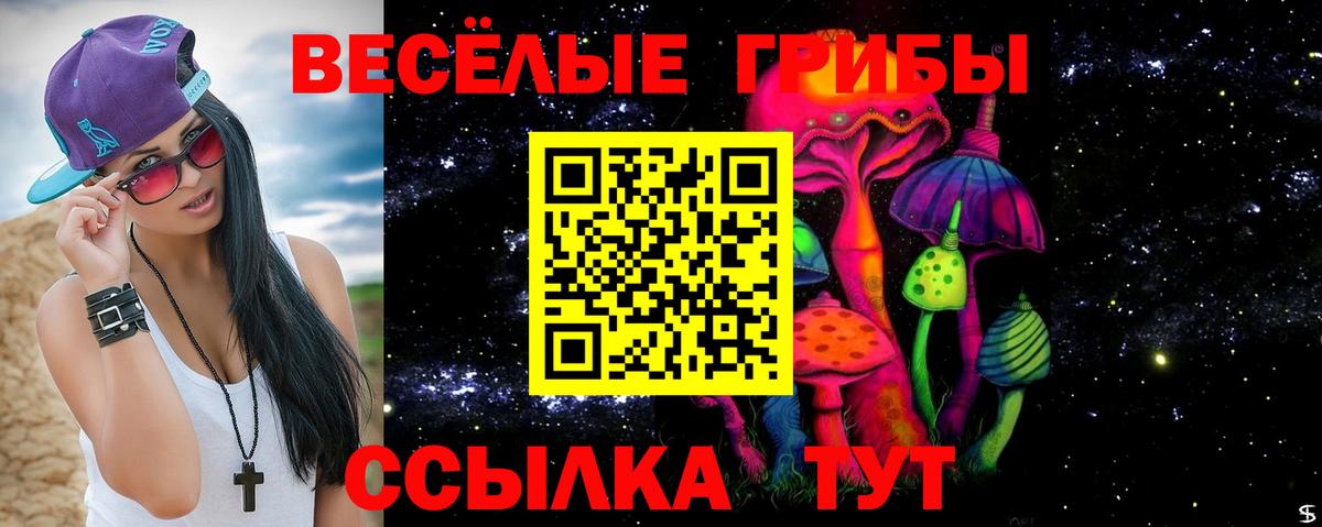 Псилоцибиновые грибы GOLDEN TEACHER Магнитогорск